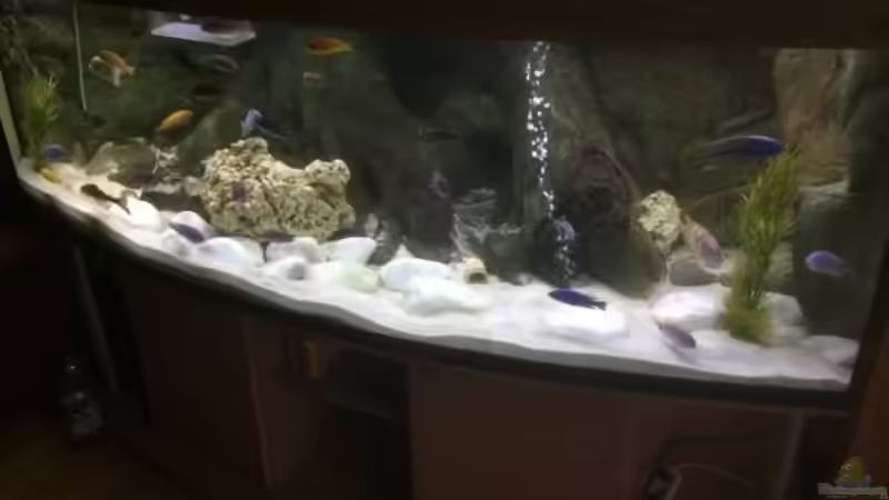 Aquarium Aquarium 200x80x80 cm, 12 mm Glas. von Malawifrank (4)