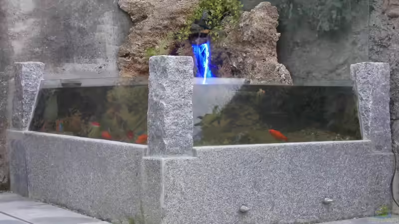 Aquarium Aquarium aussen von Martin Meier (2)