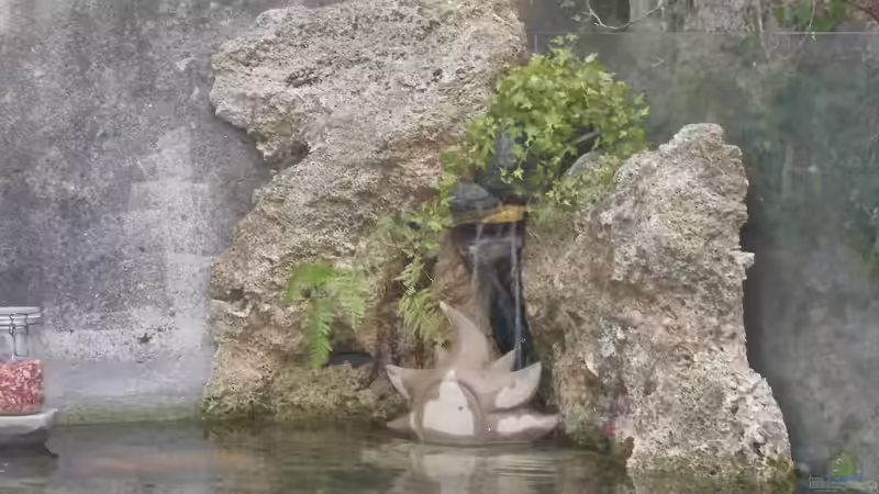 Aquarium Aquarium aussen von Martin Meier (4)