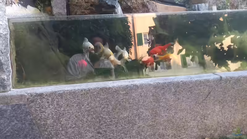 Aquarium Aquarium aussen von Martin Meier (6)