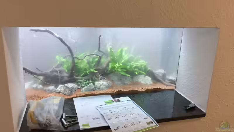 Aquarium Aquarium Projekt von Der Schreiner (10)