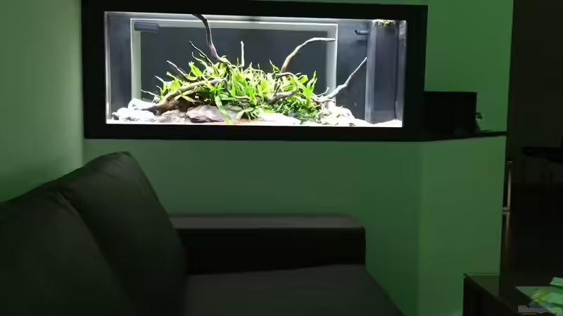 Aquarium Aquarium Projekt von Der Schreiner (11)