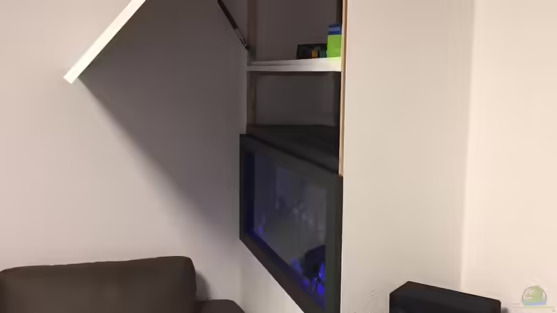 Aquarium Aquarium Projekt von Der Schreiner (12)
