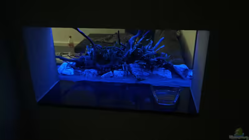 Aquarium Aquarium Projekt von Der Schreiner (14)