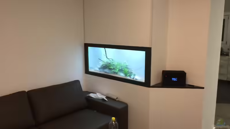 Aquarium Aquarium Projekt von Der Schreiner (9)
