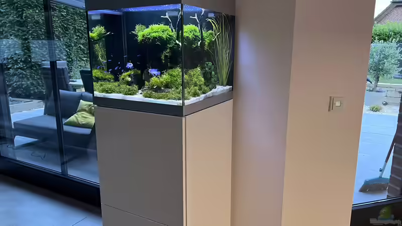 Aquarium Aquascape Mooslandschaft von Dietmar Keßl (9)