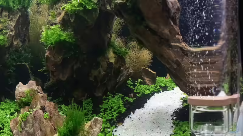 Aquarium Aquascape Nanocube30 Dragonstone von Sandro (3)