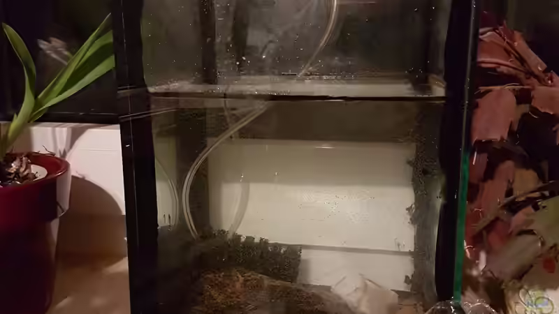 Aquarium Artemia Zucht (Versuch) von Kevin Engelsberger (2)