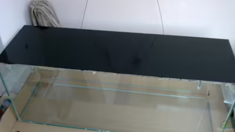 Aquarium Artenbecken Betta Macrostoma von Heiko Bischof (3)