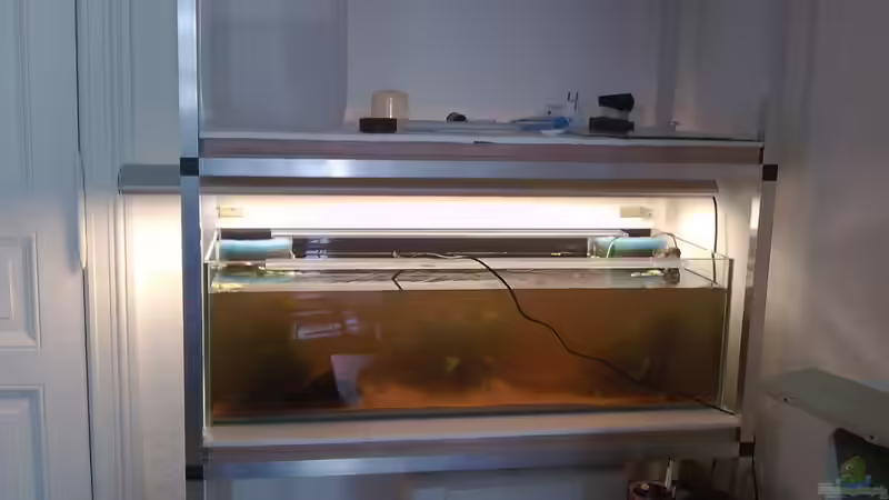 Aquarium Artenbecken Betta Macrostoma von Heiko Bischof (6)