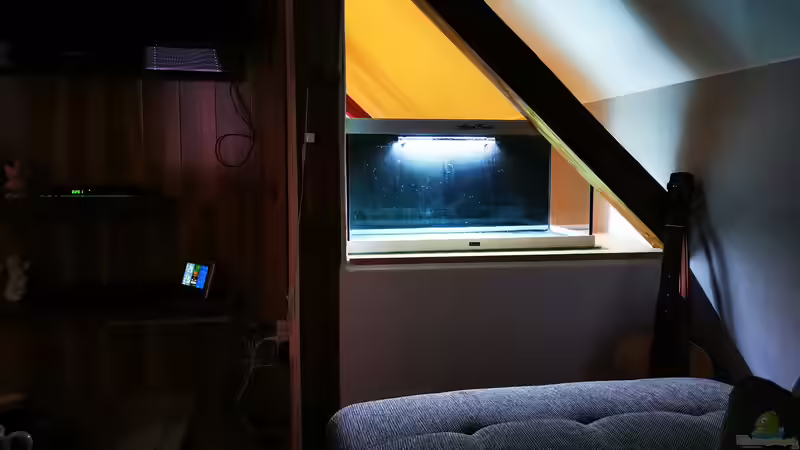 Aquarium Arterhaltungs Aquarium von Thomas Michel (2)