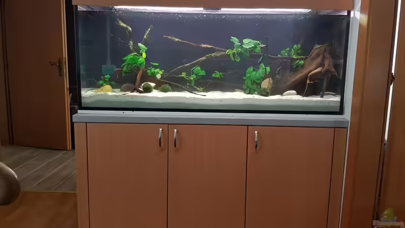 Aquarium Aru&#039;s Place von River Creator (5)