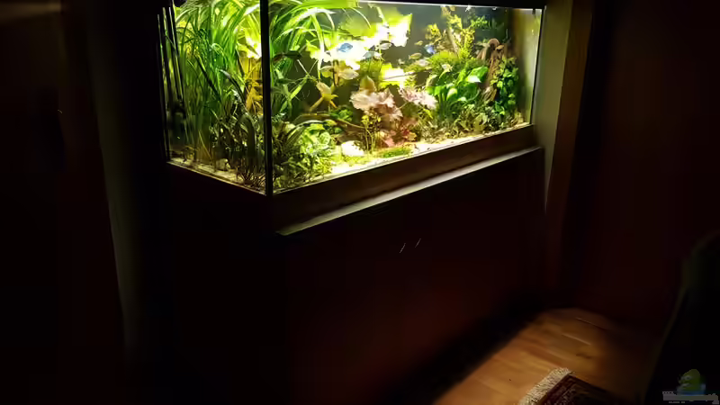 Aquarium Aru&#039;s Place von River Creator (8)