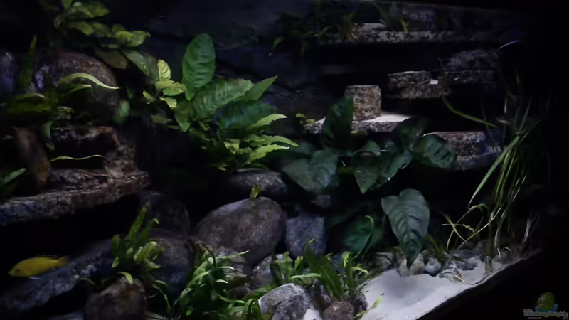 Aquarium Atlantis von LaEy (12)