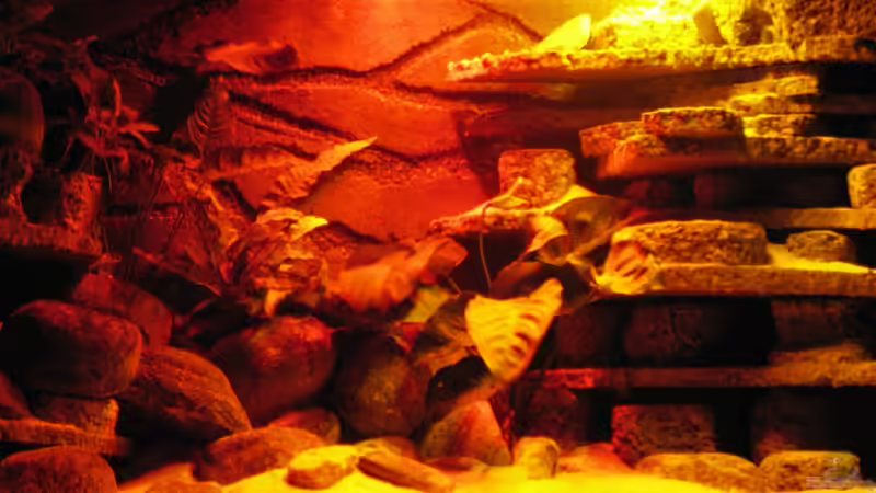 Aquarium Atlantis von LaEy (4)