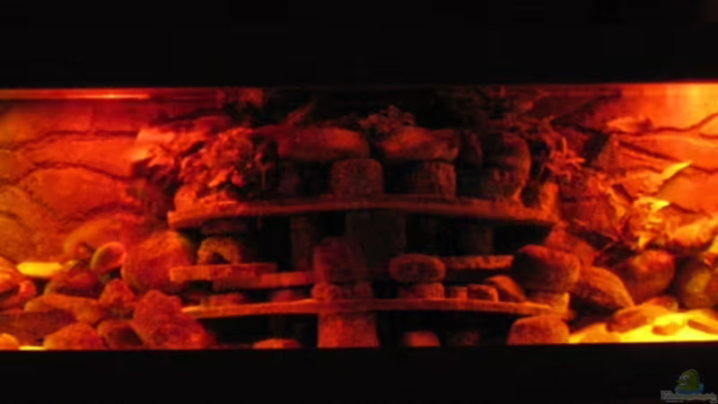 Aquarium Atlantis von LaEy (9)