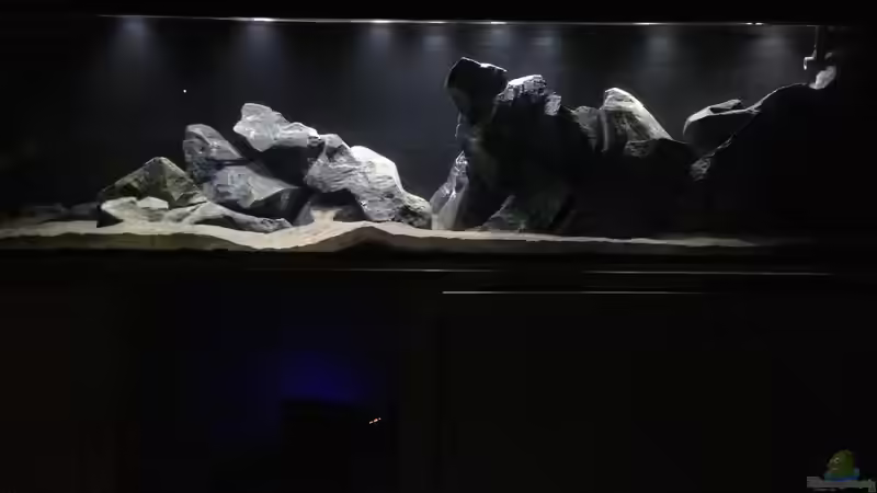 Aquarium aufgelöst ....the_HEART_of_ AFRICA..... von Swenni (10)