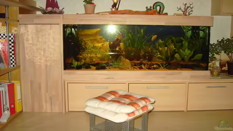 Aquarium Aufgelöst von Torsten G. (4)