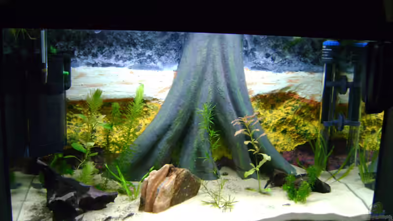 Aquarium Aufzuchtbecken von Franz Wüest (4)