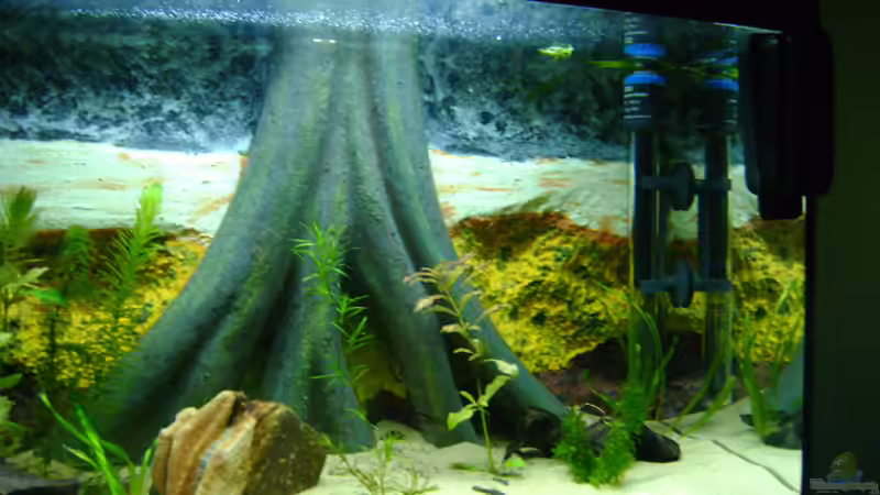 Aquarium Aufzuchtbecken von Franz Wüest (5)