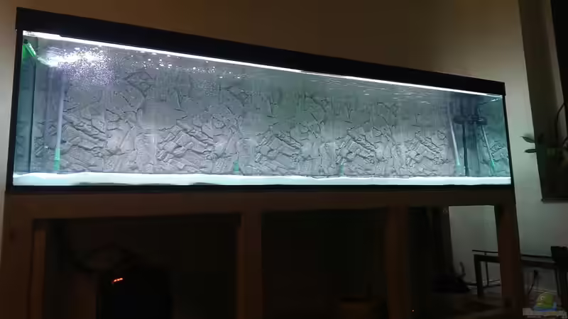 Aquarium AulonocaraReef von Malawi91 (2)