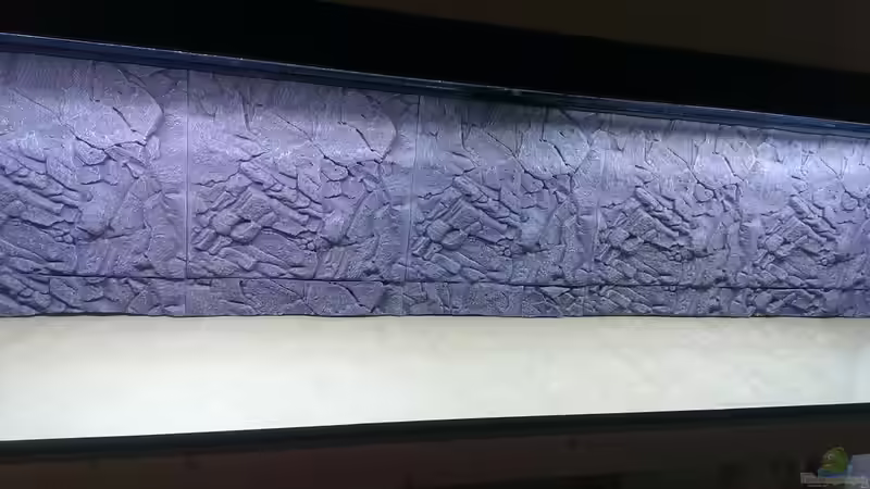 Aquarium AulonocaraReef von Malawi91 (4)