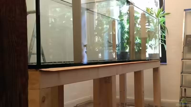 Aquarium AulonocaraReef von Malawi91 (6)