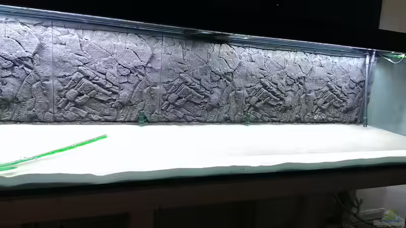 Aquarium AulonocaraReef von Malawi91 (9)