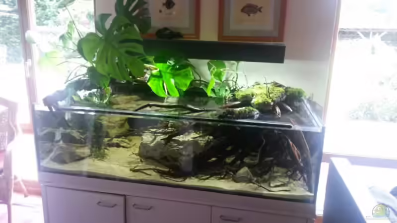 Aquarium Bachlauf Riparium von Markaroni (15)