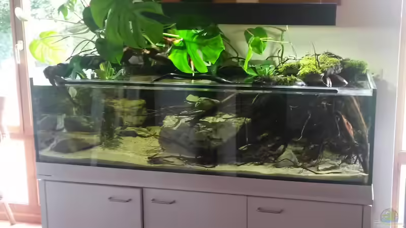Aquarium Bachlauf Riparium von Markaroni (19)