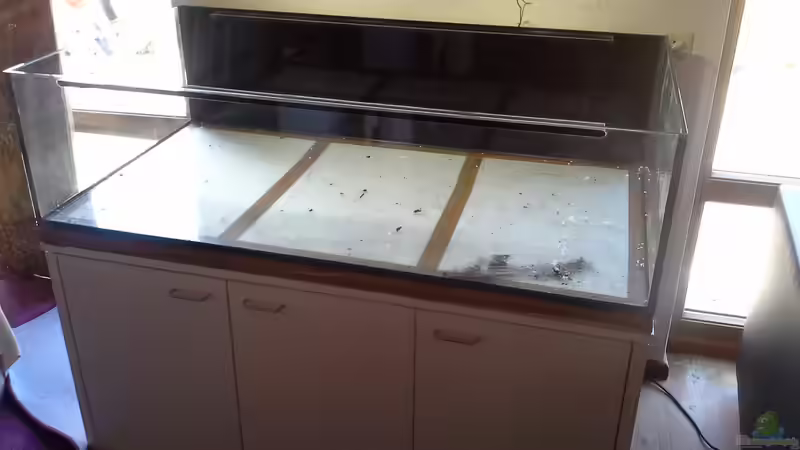 Aquarium Bachlauf Riparium von Markaroni (22)