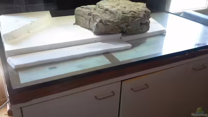 Aquarium Bachlauf Riparium von Markaroni (23)