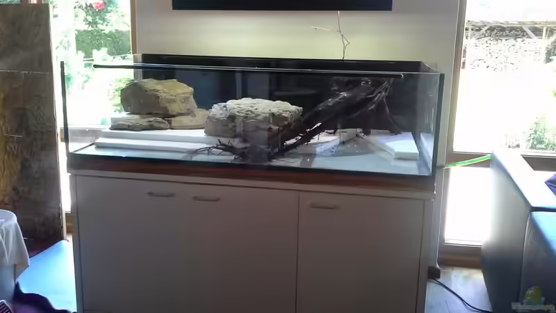 Aquarium Bachlauf Riparium von Markaroni (24)