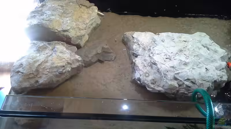 Aquarium Bachlauf Riparium von Markaroni (25)