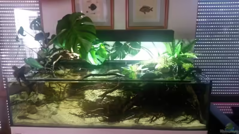 Aquarium Bachlauf Riparium von Markaroni (3)