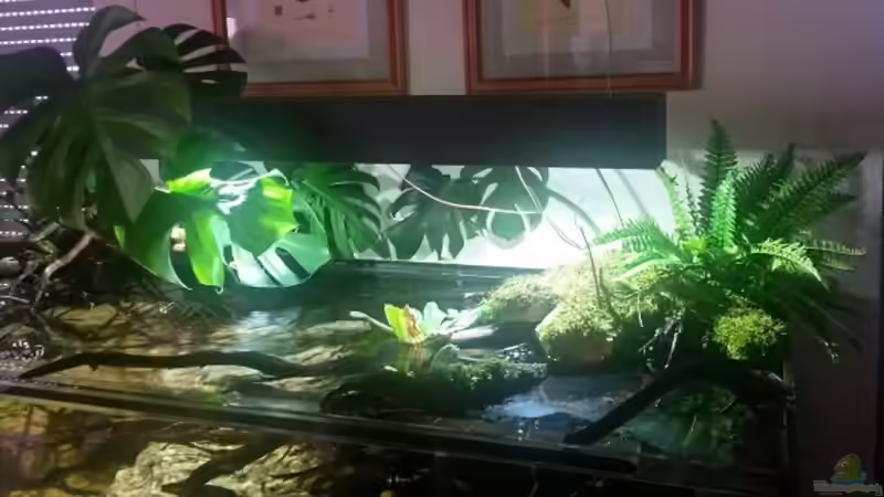 Aquarium Bachlauf Riparium von Markaroni (4)