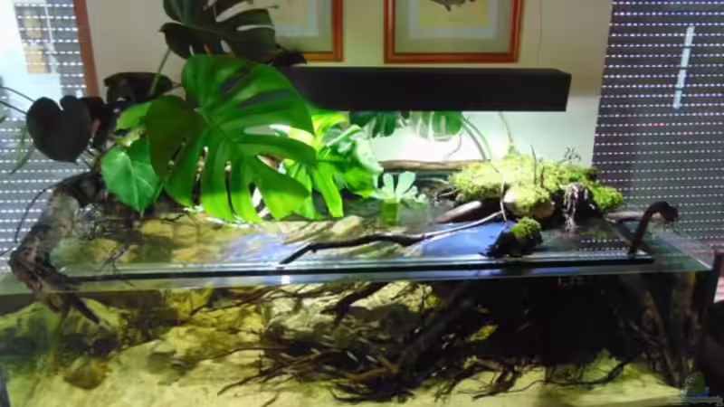 Aquarium Bachlauf Riparium von Markaroni (5)