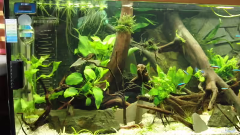 Aquarium Back to Natur von Make (3)