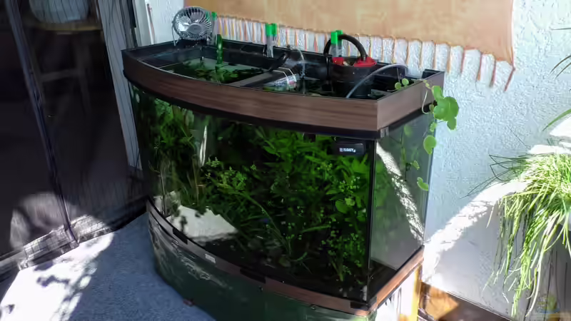 Aquarium Balkonoase 2018 (AUFGELÖST!) von Mike Steidl (2)