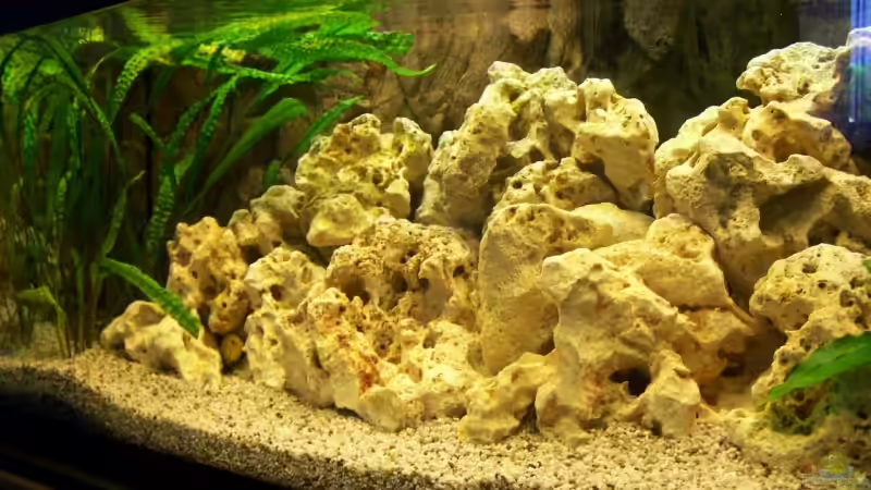 Aquarium Becken 10002 von Andy Hurm (2)