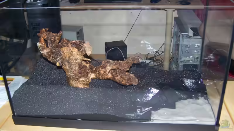 Aquarium Becken 10006 von Dani B (2)