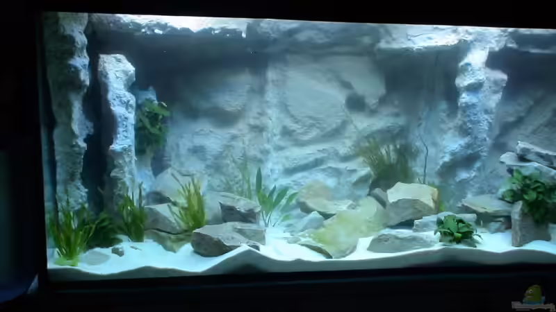 Aquarium Becken 10047 von Tropicmarin (4)