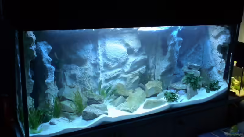 Aquarium Becken 10047 von Tropicmarin (5)