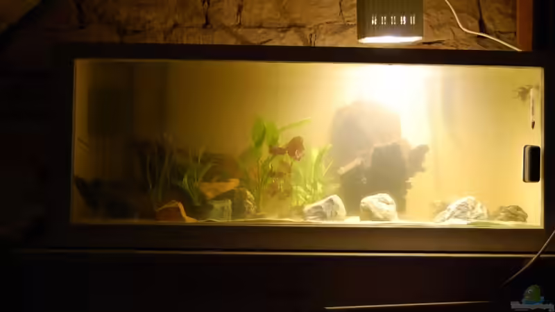 Aquarium Becken 10070 von der-bastian (4)