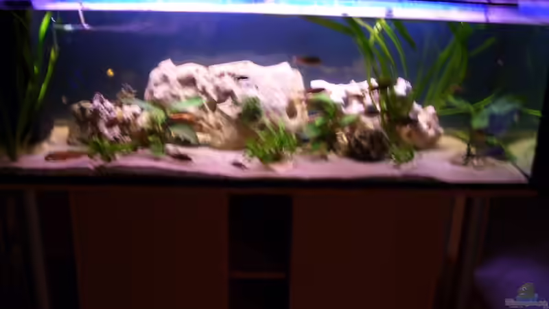 Aquarium Becken 10080 von Jack2010 (4)