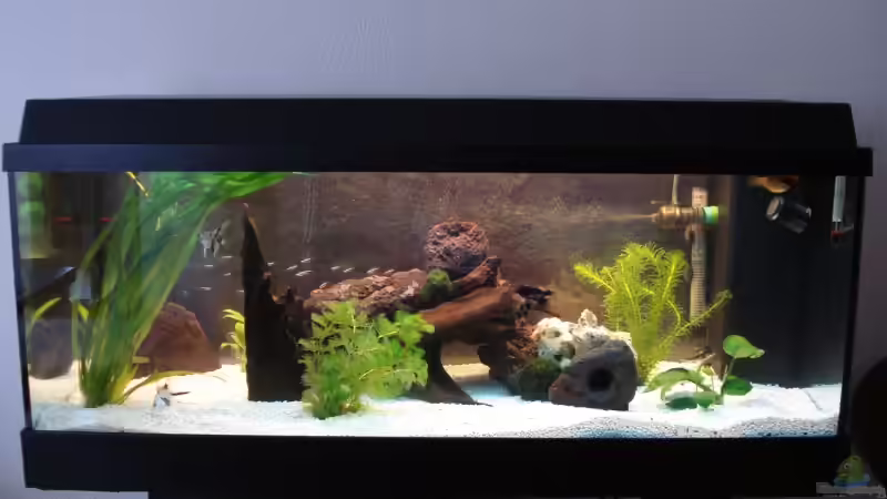 Aquarium Becken 10101 von stone (4)