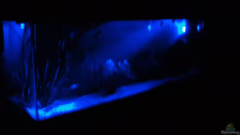 Aquarium Becken 10101 von stone (7)