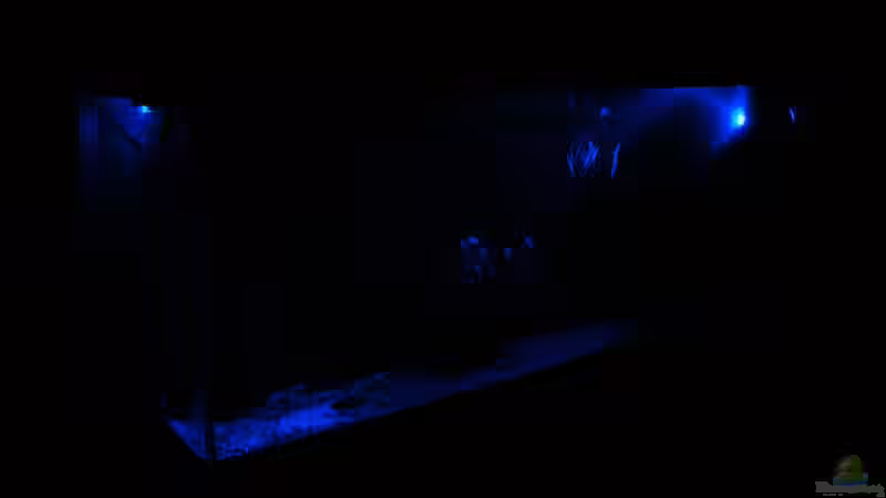 Aquarium Becken 10101 von stone (8)