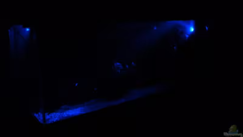 Aquarium Becken 10101 von stone (9)