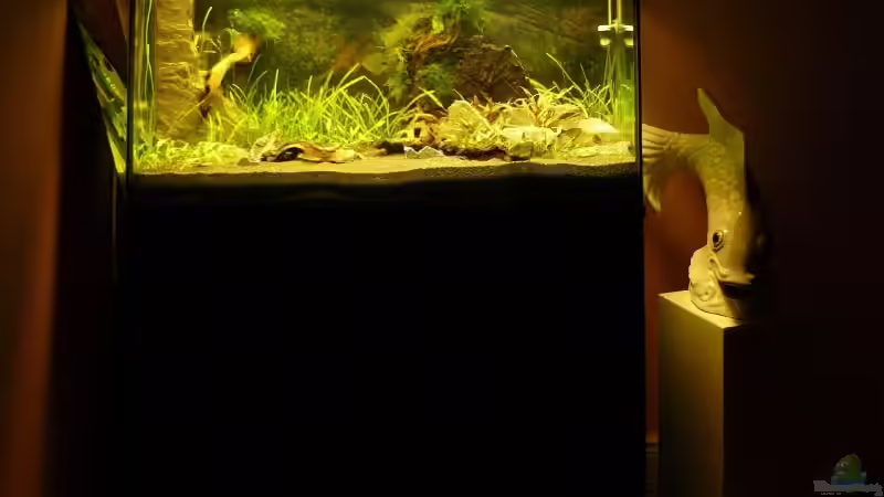 Aquarium Becken 10166 von A. G. (2)